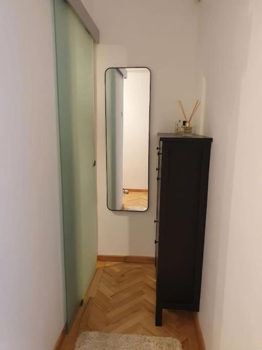 Spacious And Quiet 1Br Apartment In Floreasca Βουκουρέστι Εξωτερικό φωτογραφία
